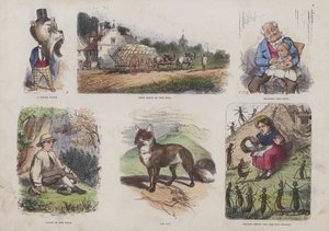 Seite aus dem attraktiven Bilderbuch (farbige Gravur)