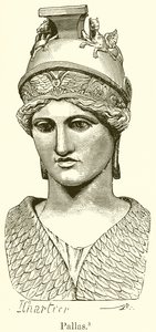 Pallas von English School