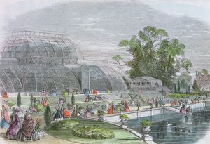 Palmenhaus, Kew (Gravur)