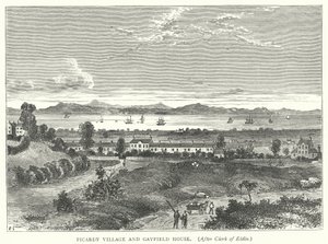 Picardy Village und Gayfield House (Stich) von English School