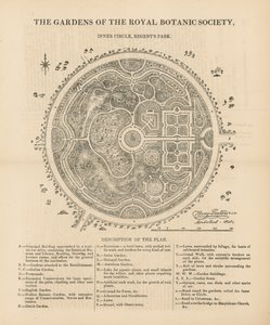 Planansicht der Gärten der Royal Botanic Society von English School