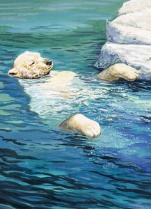 Verspielter Eisbär, Illustration aus 