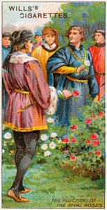 Das Pflücken der rivalisierenden Rosen von English School