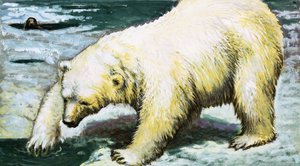 Eisbär beim Fischen von English School
