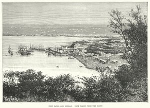 Port Natal und Durban. Ansicht vom Bluff (Gravur) von English School