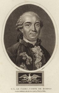 Porträt von Georges-Louis Leclerc, Comte de Buffon von English School