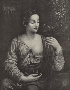 Porträt einer jungen Dame von English School