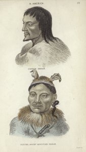 Porträts eines Kupfer-Indianers und eines Rocky-Mountain-Indianers von English School