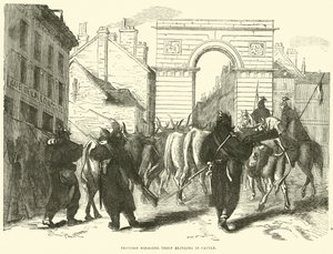 Preußische Plünderungstruppen bringen Vieh herein, Oktober 1870