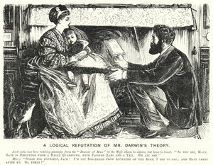 Punch-Karikatur: Eine logische Widerlegung von Mr. Darwins Theorie von English School