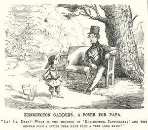 Kind stellt seinem Vater eine Frage in den Kensington Gardens, London (Stich) von English School