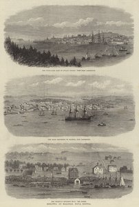 Regatta in Halifax, Nova Scotia (Gravur)