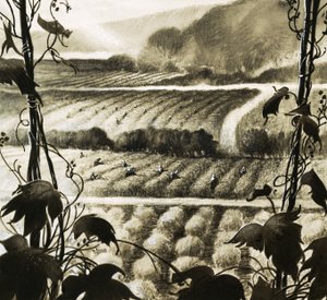 Wasserreservoirs unter der Wüste können genutzt werden, um das Land fruchtbar zu machen von English School