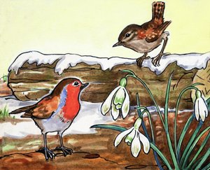Rotkehlchen und Jenny Wren
