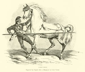 Römisches Pferd von English School