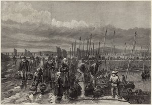 Sardinenfischerei an der Küste der Bretagne von English School