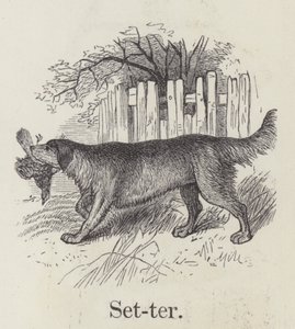Setter (Gravur) von English School