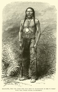 Shawanoh, der Ute-Häuptling, der 1863 nach Washington geschickt wurde, um mit der US-Regierung zu verhandeln von English School