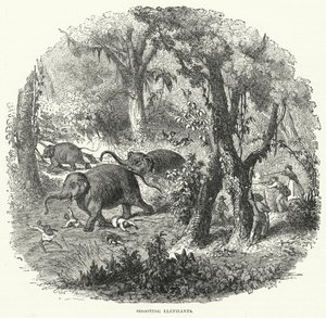 Elefantenjagd (Gravur)