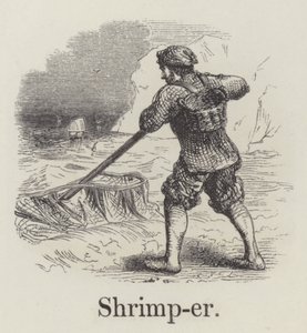 Krabbenfischer von English School
