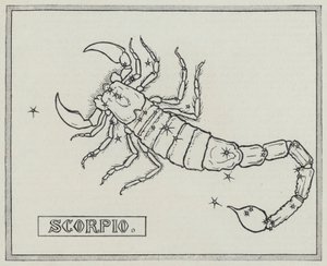 Sternzeichen: Skorpion (Gravur)