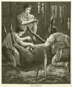 Das Häuten des Elchs (Gravur) von English School