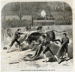 Spanischer Stierkampf in der Landwirtschaftshalle, Islington von English School