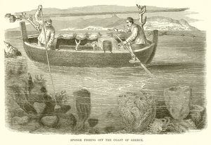 Schwammfischen vor der Küste Griechenlands von English School