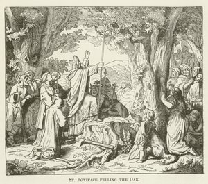 St. Bonifatius fällt die Eiche