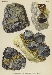 Sulfide, Molybdänit, Zinkblende, Galenit von English School