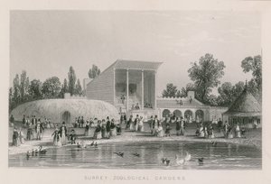 Surrey Zoological Gardens