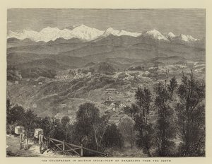 Teekultivierung in Britisch-Indien, Blick auf Darjeeling von Süden von English School