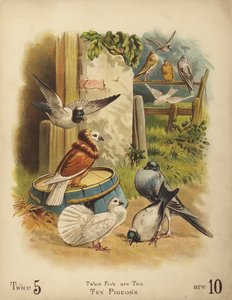 Zehn Tauben (Chromolithografie)