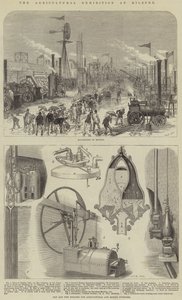 Die Landwirtschaftsausstellung in Kilburn von English School
