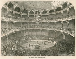 Der Amerikanische Zirkus im Alhambra Palace (Alhambra Theatre), Leicester Square, London von English School