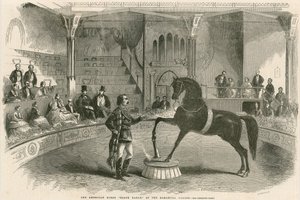 Das amerikanische Pferd Black Eagle im Alhambra Palace (Alhambra Theatre), Leicester Square, London von English School