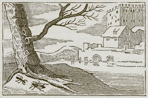 Die Ameise und die Fliege (Gravur) von English School