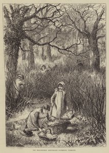 Das Beaconsfield-Jubiläum, Primeln sammeln (Stich) von English School