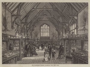Das Blackmore Museum, Salisbury (Gravur) von English School