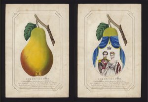 Das britische Paar, Königin Victoria und Albert, Prinzgemahl