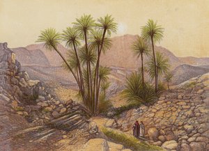 Die Wüste Sinai von English School