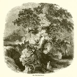 Der Druidenhain von English School