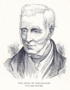 Der Herzog von Wellington von English School