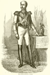 Der Kaiser Nikolaus von Russland von English School