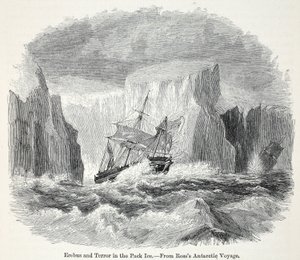 Die Erebus und die Terror unter Eisbergen von English School