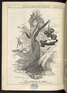 Das "Aussterben" der Arten; oder, die Mode-Dame ohne Gnade und die Reiher, aus 