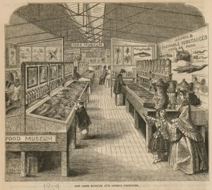 Das Lebensmittel- und Tierprodukte-Museum, South Kensington Museum