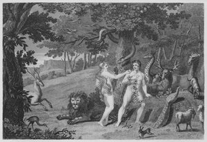 Die verbotene Frucht, Genesis, III, 6 von English School
