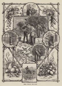 Das Obst, das wir essen (Gravur)