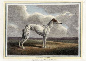 Der Windhund, veröffentlicht 1812